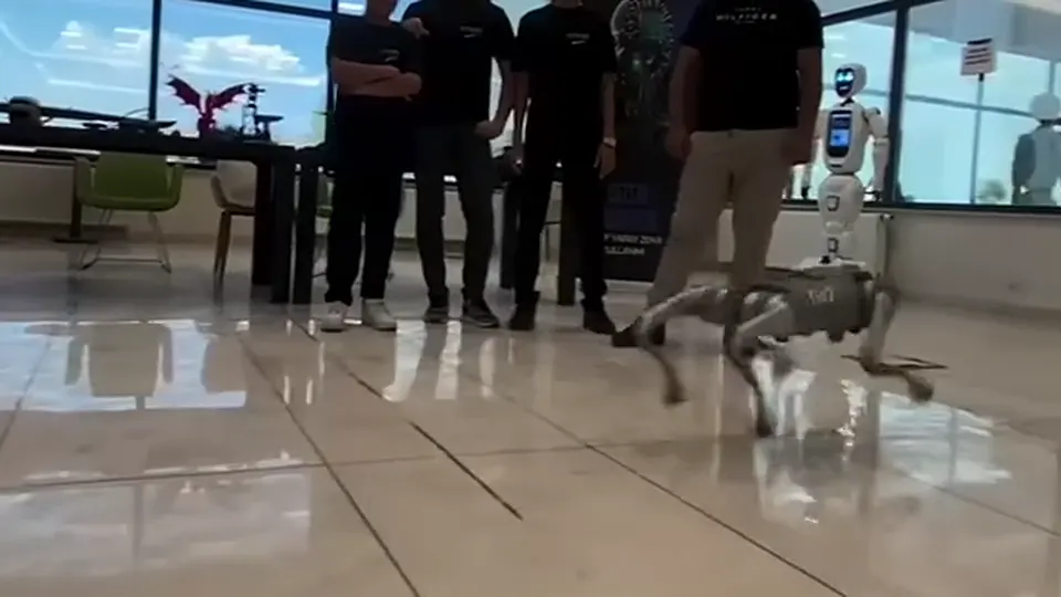 CEZERİ ROBOTECH merkezinde dört ayaklı robot köpeğin öğrencilerin ve insansı robotun önünde yürüyüşü